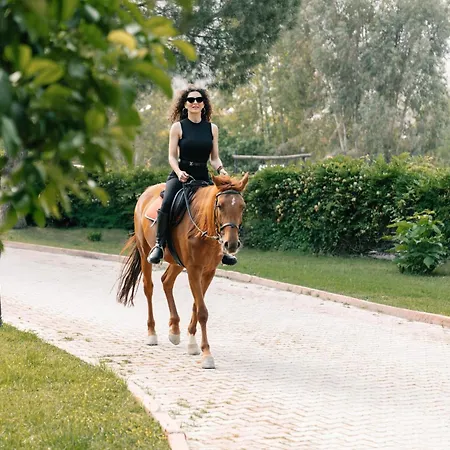 Hotel Club Berke Ranch International Horseback Riding 3*