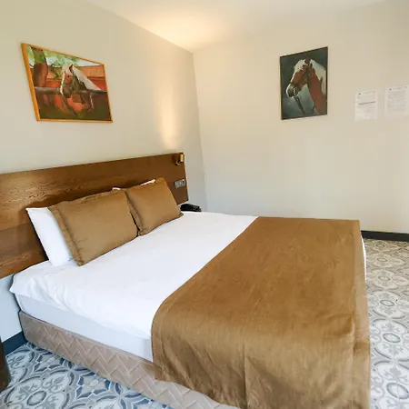 Szálloda Club Berke Ranch International Horseback Riding