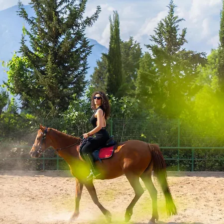 Club Berke Ranch International Horseback Riding 3*