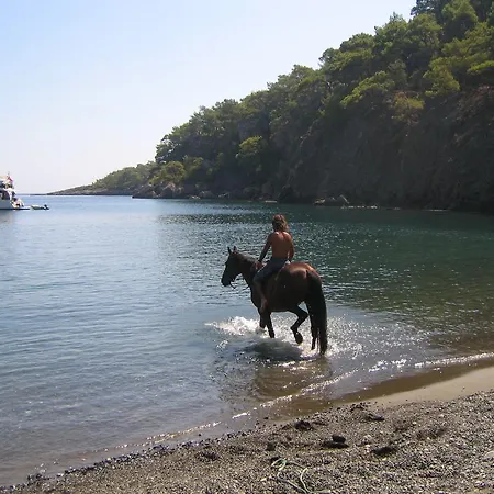 Club Berke Ranch International Horseback Riding