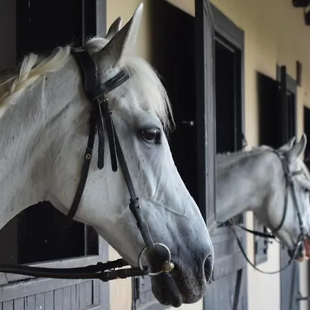 Club Berke Ranch International Horseback Riding Hotel Kemer