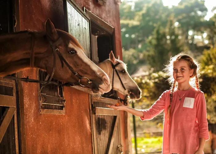 Beso Berke Ranch&nature كمر