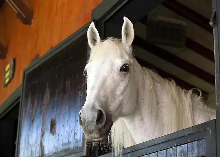 Otel Beso Berke Ranch&nature Kemer