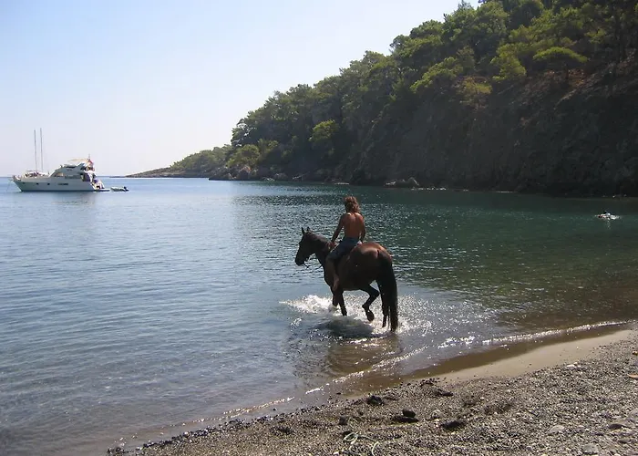 Beso Berke Ranch&nature