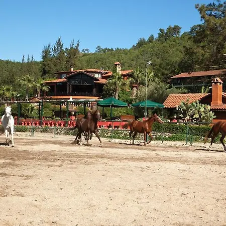 Szálloda Berke Ranch&nature 3*