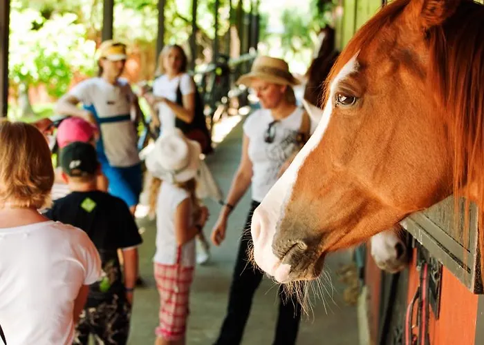 Hotel Beso Berke Ranch&nature